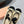 Ballet Flats Ivory Fabric