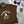 PRADA 25S SHORT-SLEEVE CREW NECK SWEATSHIRT SET 351