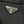 PRADA 25S JACKET 377