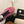 CC 26s Casual Sneaker Dark Pink Leather 183615