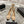 CC 26s High Heels Pump 85 Beige Black Sheepskin 627009