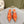 PRA 2026S High Heel Mule 65 Orange Sheepskin 657670