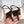 YSL 26ss Slingback 75 Burgundy Sheepskin 654720
