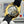 Omega Speedmaster Moonwatch Professional 42mm Gold Dial Gold Case