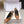 YSL 26ss Slingback 75 Camel Brown Sheepskin 654718