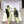 YSL 26ss Slingback 75 Light Green Glossy Leather 654716