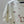 CD 2026 T-shirt Cream Wool 535385