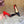 CL 2026 Kate 100mm Pumps Patent Leather 776036