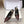 YSL 26ss Slingback 75 Burgundy Glossy Leather 654717