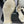 CC 26s Sandals 35 White Sheepskin 650105