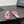 CC 2026 Slippers Pink Black Mesh Sheepskin 668147