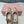BALLET FLAT SHOES PASTEL PINK COLOR GLOSSY SHEEPSKIN