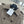 DIOR 25S LONG TRENCH COAT STYLE 303