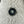 MAX MARA 25S TEDDY SHORT JACKET 067
