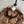 PRADA 25S FUR COAT 482