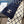 CHANEL 25S SCARF 180 CM IN WOOL CASHMERE 943031