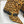 BALMAIN 25S ANTHEM BOOTS IN LEOPARD PRINT CALFSKIN
