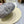 BERET HAT POLKA DOT MOUSE GRAY 672671