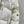 MONCLER 25S JACKET IN WHITE 093