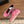 CC 26s Casual Sneaker Dark Pink Leather 183615
