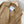 BURBERRY 25S JACKET 234