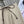 LOEWE SKIRT STYLE 255