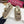 GG CLASSIC SANDALS 25S IN BEIGE FABRIC WITH GOLD HARDWARE