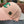 BASEBALL HAT PINK WITH LETTERING TRIM 672536