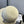 STRAW BUCKET HAT IN IVORY WITH RIBBON BOW 673977