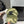 BASEBALL HAT IN OLIVE GRAY JEAN 672990