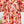 LIGHTBURST SHORT SLEEVE BACKLESS DRESS 25S IN LINEN 266370