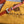 BELVEDERE PM BAG 21CM ORANGE CANVAS