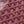 GOYA SECOND-HAND TOAST BAG 21CM BURGUNDY CANVAS