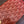 MINAUDIERE TRUNK BAG 17CM RED CANVAS