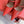 Rockstud Straps Pump 90mm Red