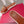 Vlogo Slippers Burgundy