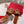Vlogo Slippers Burgundy